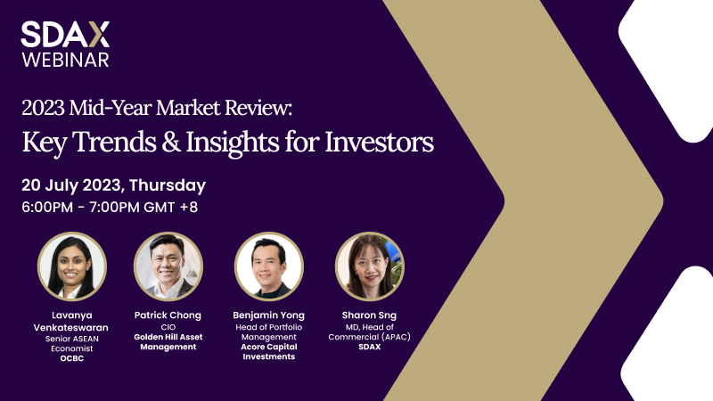 Mid-Year Market Review: Key Trends and Insights for Investors